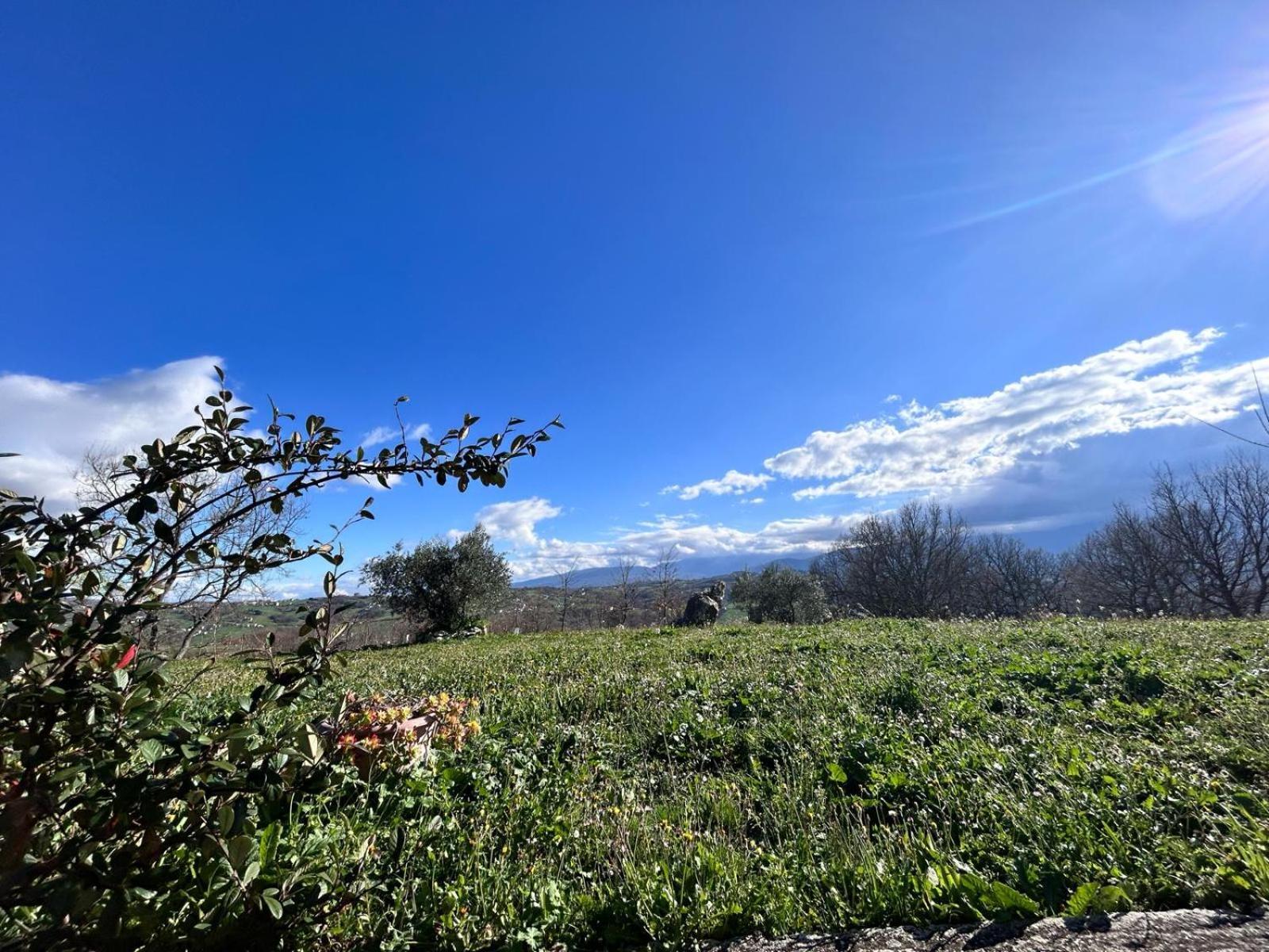 Residence San Martino Busso エクステリア 写真